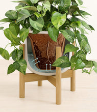 Load image into Gallery viewer, Natural Bamboo stand:bamboo