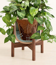 Load image into Gallery viewer, Sandy Pink stand:walnut