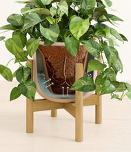 Load image into Gallery viewer, Sandy Pink stand:bamboo