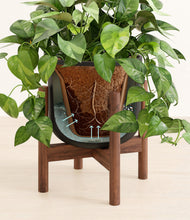 Load image into Gallery viewer, Stone Black stand:walnut