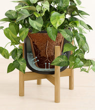 Load image into Gallery viewer, Stone Black stand:bamboo