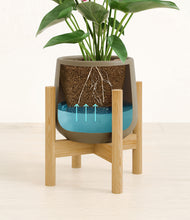 Load image into Gallery viewer, Olive stand:bamboo