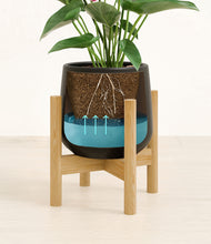 Load image into Gallery viewer, Black stand:bamboo