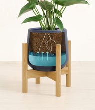 Load image into Gallery viewer, Deep Navy stand:bamboo