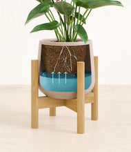 Load image into Gallery viewer, Eternal Gray stand:bamboo