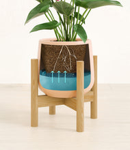 Load image into Gallery viewer, Gentle Pink stand:bamboo