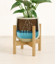 Load image into Gallery viewer, Turquoise stand:bamboo