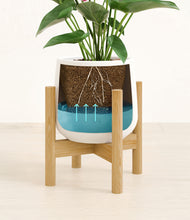 Load image into Gallery viewer, White stand:bamboo