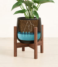 Load image into Gallery viewer, Black stand:walnut