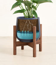 Load image into Gallery viewer, Deep Navy stand:walnut