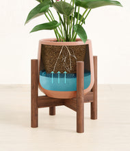 Load image into Gallery viewer, Calm Rose stand:walnut