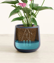 Load image into Gallery viewer, Deep Navy