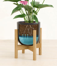 Load image into Gallery viewer, Stone Black stand:bamboo