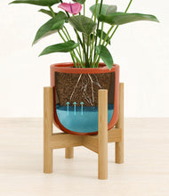 Load image into Gallery viewer, Glossy Red stand:bamboo