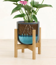 Load image into Gallery viewer, Iron Gray stand:bamboo