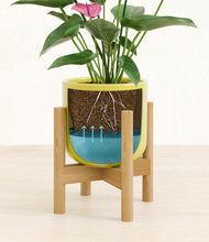 Load image into Gallery viewer, Key Lime Yellow stand:bamboo