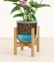 Load image into Gallery viewer, Reactive Aqua stand:bamboo