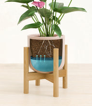 Load image into Gallery viewer, Sandy Pink stand:bamboo
