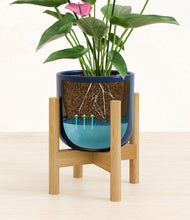 Load image into Gallery viewer, Twilight Blue stand:bamboo