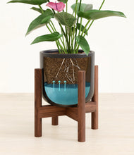 Load image into Gallery viewer, Stone Black stand:walnut