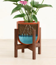 Load image into Gallery viewer, Glossy Red stand:walnut