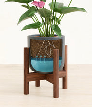 Load image into Gallery viewer, Iron Gray stand:walnut