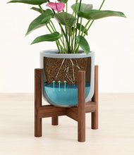 Load image into Gallery viewer, Misty Blue stand:walnut