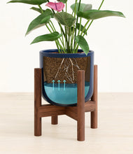 Load image into Gallery viewer, Twilight Blue stand:walnut