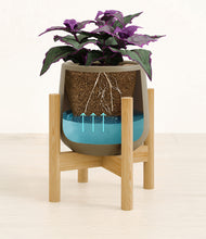 Load image into Gallery viewer, -