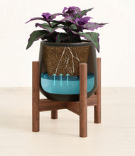 Load image into Gallery viewer, -