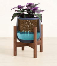 Load image into Gallery viewer, -