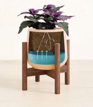 Load image into Gallery viewer, -