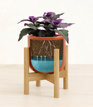 Load image into Gallery viewer, -