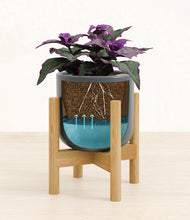 Load image into Gallery viewer, -