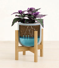 Load image into Gallery viewer, -