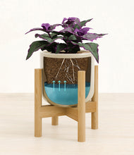 Load image into Gallery viewer, -