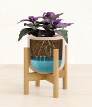 Load image into Gallery viewer, -