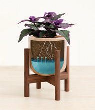 Load image into Gallery viewer, -