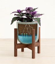 Load image into Gallery viewer, -