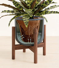 Load image into Gallery viewer, Iron Gray stand:walnut