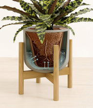 Load image into Gallery viewer, Sage Green stand:bamboo