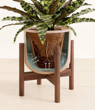 Load image into Gallery viewer, Sandy Pink stand:walnut