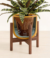 Load image into Gallery viewer, Sunset Orange stand:walnut