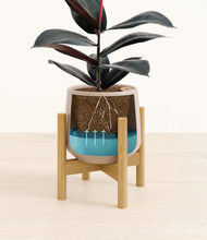 Load image into Gallery viewer, Eternal Gray stand:bamboo