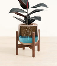 Load image into Gallery viewer, Eternal Gray stand:walnut