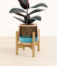 Load image into Gallery viewer, Gentle Pink stand:bamboo