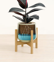 Load image into Gallery viewer, Turquoise stand:bamboo
