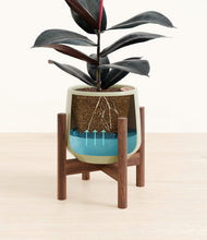 Load image into Gallery viewer, Turquoise stand:walnut