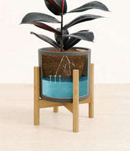 Load image into Gallery viewer, Dark Olive stand:bamboo