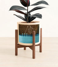 Load image into Gallery viewer, Cream stand:walnut